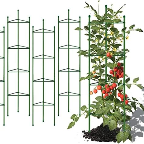 Jaulas De Tomate Para Plantas De Jard N Soporte Para Plantas Trepadoras