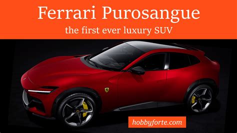 Ferrari Purosangue The First Ever Luxury Suv Hobbyfortecom 1001 Best