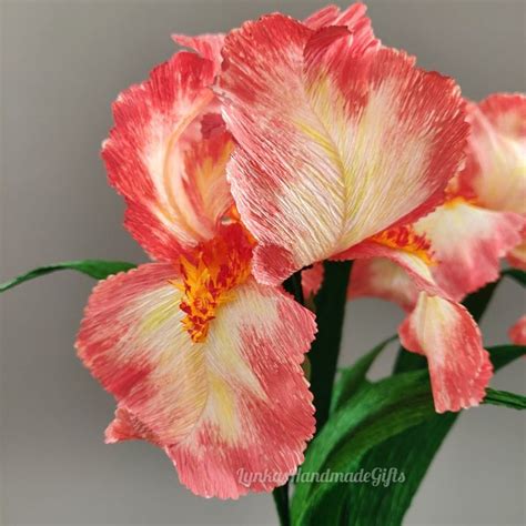 Crepe Paper Iris Paper Flower Iris Single Stem Peach Sunset Tall