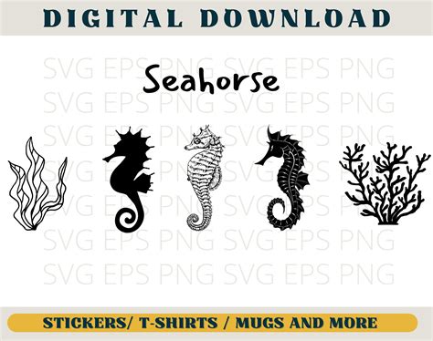 Seahorse Svg Seahorse Clipart Seahorse Png Seahorse Svg Bundle