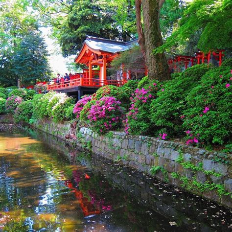 Photo By Japantravelplanet Bunkyo Azalea Festival Tsutsuji Matsuri