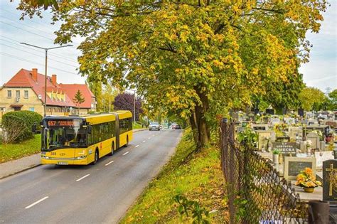 Bezp Atna Komunikacja Publiczna I Specjalne Linie Na Wszystkich