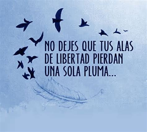 Total Imagen Frases De Aves Y Libertad Abzlocal Mx