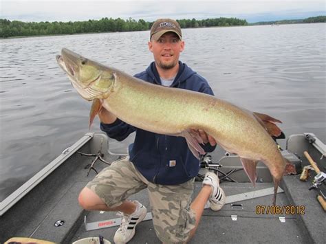 Big Muskie Caught On Chippewa Flowage In Hayward Wi On 762012