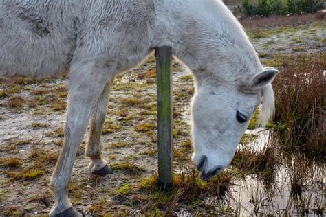 Wandel Fiets En Fotografieweblog Als Het Jeukt