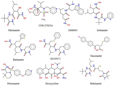 Frontiers Identification Of Zinc Binding Inhibitors Of Matrix Metalloproteinase 9 To Prevent