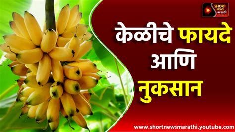 केळीचे फायदे आणि नुकसान Short News Marathi Youtube