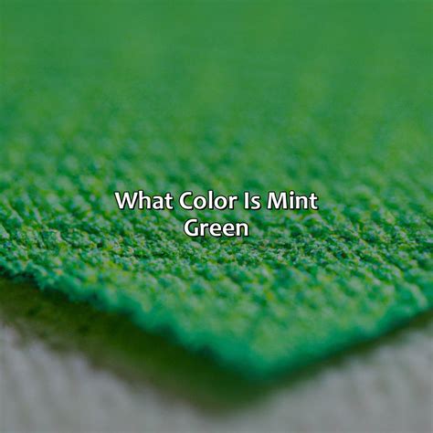 What Color Is Mint Green - colorscombo.com