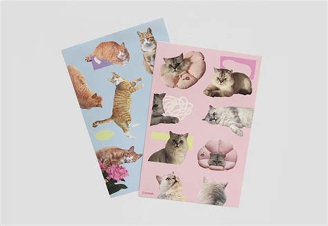 Mochithings 2pcs Studio Cat Sticker Set