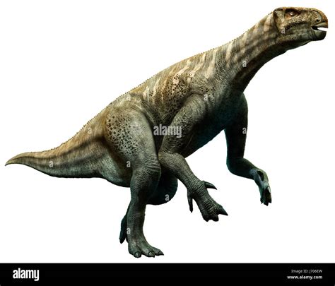 Iguanodon Fotografías E Imágenes De Alta Resolución Alamy