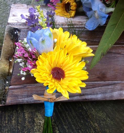 viking mums-- a great compliment to sunflowers | Sunflower, Plants, Flowers