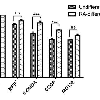 Parkin Isoform Immunolocalization In Ra Differentiated Sh Sy Y Cells