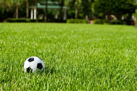 Pallone Da Calcio Futbol Su Erba Immagine Stock Immagine Di Parco