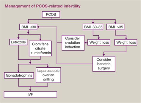 Pcos Diagnosis And Management Of Related Infertility Obstetrics Gynaecology And Reproductive