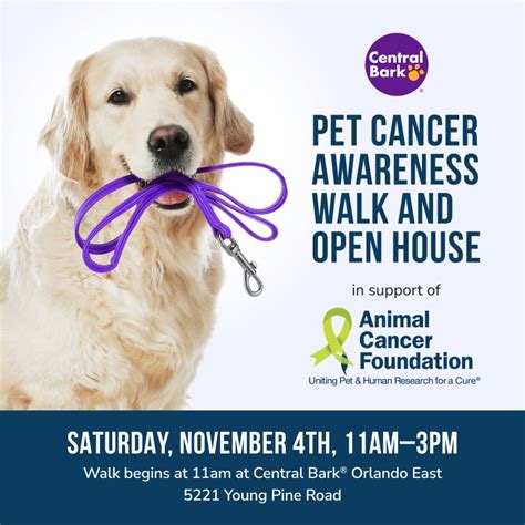 Animal Cancer Foundation Acf On Linkedin Please Share This Event