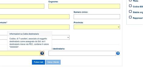 Come Emettere Fattura Elettronica Senza Codice Destinatario