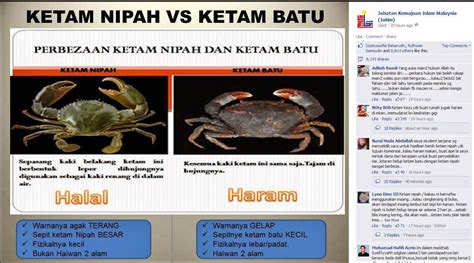 ! CERITA HARIAN !: Perbezaan Ketam Batu dan Ketam Nipah yang halal dan ...