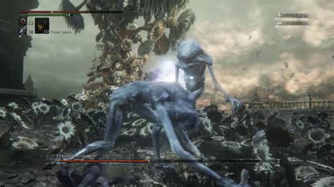 BLOODBORNE DLC FRACASOS VIVIENTES LOS ANTIGUOS CAZADORES YouTube