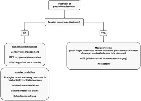 Treatment modalities of pneumomediastinum. | Download Scientific Diagram