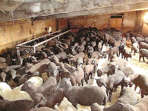 Условията на село направиха фермерството да е изцяло семейно ...