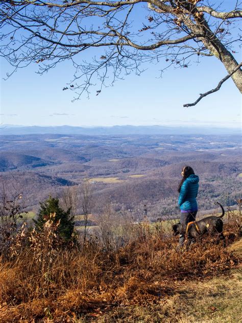 10 Of The Best Hikes In Manchester Vermont All Levels