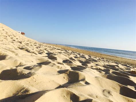 Biscarrosse Beach France Sand Beach Outdoor