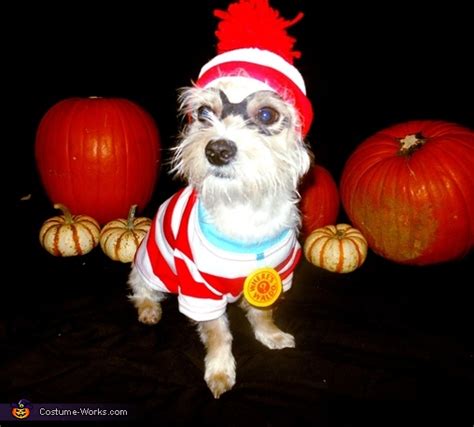 Waldo's Dog Woof Costume