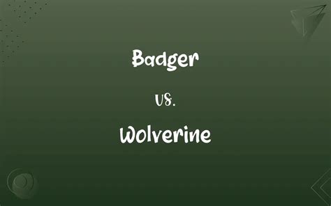 Badger vs. Wolverine: Know the Difference