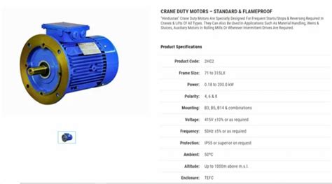 Crane Duty Motor For Overhead Cranes At Best Price In Chennai Id