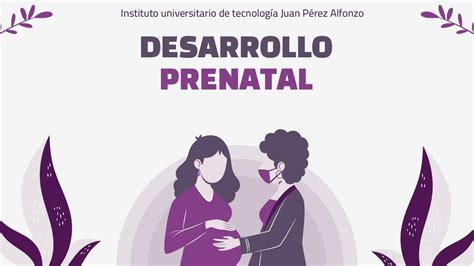 Desarrollo Prenatal Grei Rodriguez Udocz