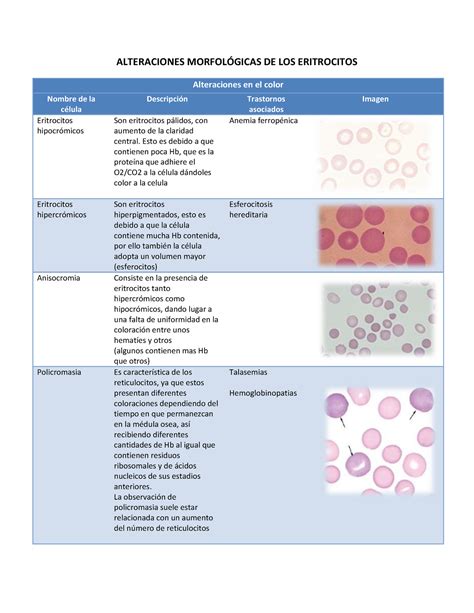 Atlas De Alteraciones Eritrocitarias Alteraciones Morfol Gicas De Los