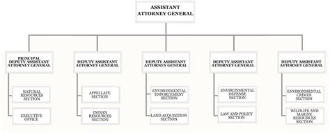 Doj Organizational Chart