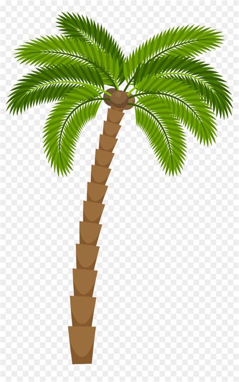 Drawing Silhouette Royalty Free - Coconut Tree Picture Drawing, HD Png ...