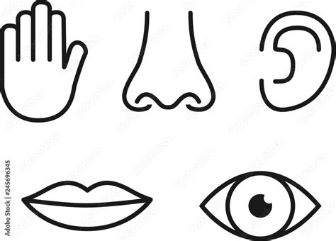 Outline Icon Set Of Five Human Senses Vision Eye Smell Nose