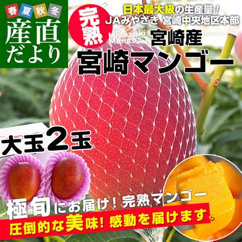 宮崎県より産地直送 Jaみやざき 宮崎中央地区本部 宮崎完熟マンゴー 大玉2l×2玉 合計700g以上 350gから449g×2玉 送料