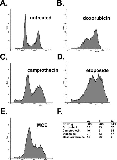 Cell cycle arrest after treatment with four different chemotherapeutic... | Download Scientific ...