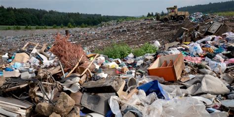 Daños Al Medio Ambiente Causados Por El Hombre