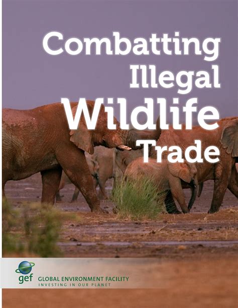 Combatting Illegal Wildlife Trade By Global Environment Facility Issuu