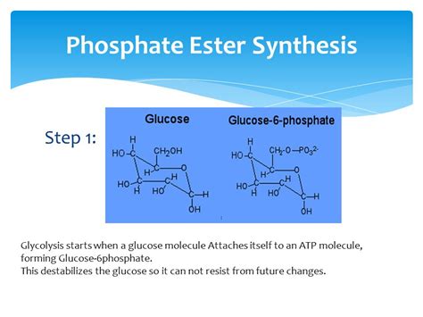 Phosphate Ester Synthesis