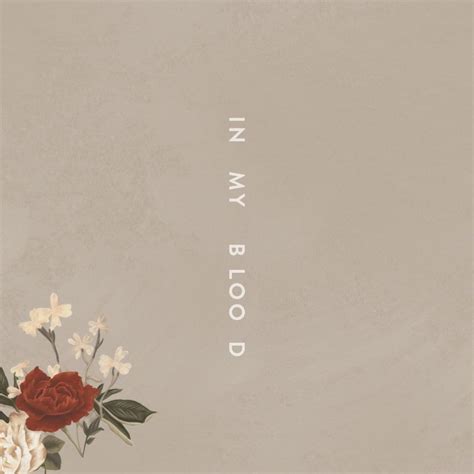 Shawn Mendes – In My Blood Lyrics | Genius Lyrics