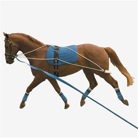 Lunging/Training Equipment – Rangiora Equestrian Supplies