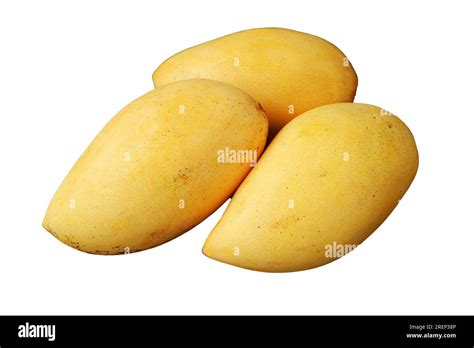 Three Fresh Ripe Mango Whole Fruits Isolated On Transparent Background