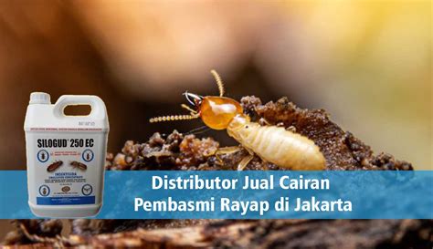 Distributor Jual Cairan Pembasmi Rayap Di Jakarta PT Panca Prima Wijaya