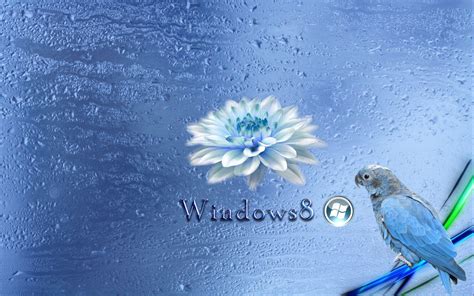 Windows 8 Hd Wallpapers Wallpaper Cave