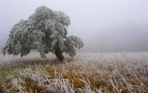 Help Wildlife Survive Winters In Our National Forests The Epoch Times