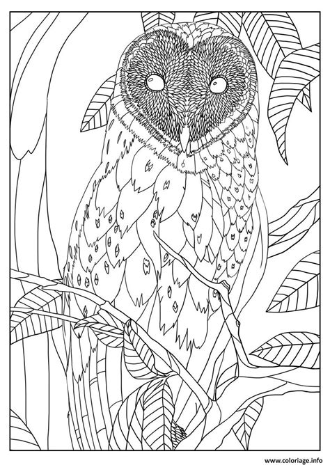 Coloriage Chouette Mandala Un Hibou Dessin Animaux Imprimer Enfant