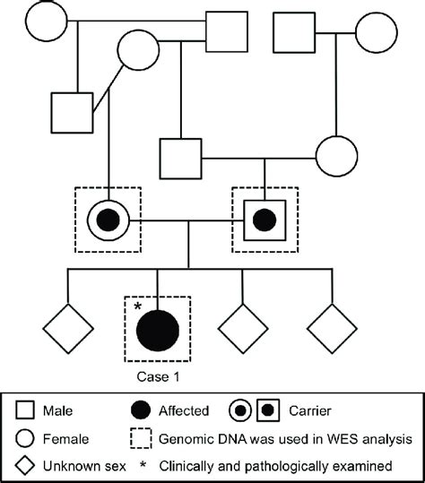 Pedigree Analysis Of Case 1 Some Paternal And Maternal Individuals