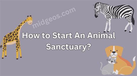 How To Start An Animal Sanctuary With No Money?