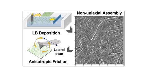 Anisotropic Frictional Properties Induced by Cellulose Nanofibril ... 