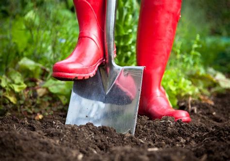 Terreno Per L Orto Come Prepararlo